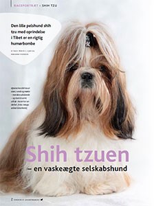 Klik her for at læse raceportræt af Shih Tzu